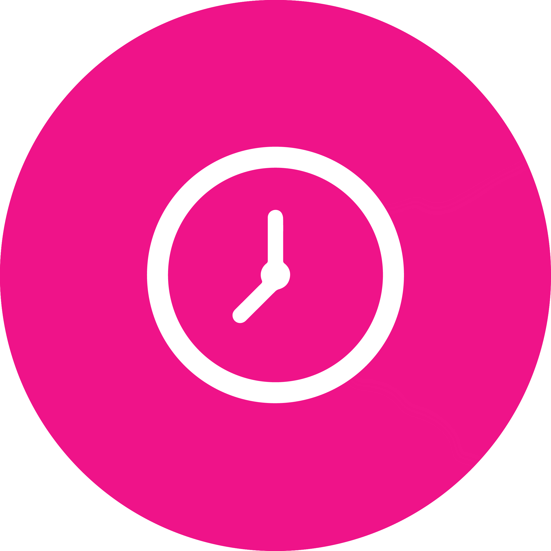 Executive VIP Service 6 Pax